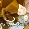 Ya no lele pancha