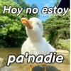 Hoy no estoy pa'nadie