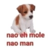 CONTÉM IRONIA 16
