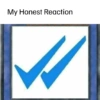 My Honest Reaction