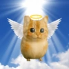 Meowl Michi cute 🥺🩷✨ 10