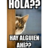 HOLA?? HAY ALGUIEN AHÍ??