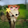 Meowl Michi cute 🥺🩷✨ 27