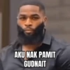 AKU NAK PAMIT GUDNAIT