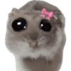 Memes  7