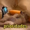prioridades