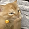 Emoji 6