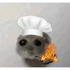 Tu gran hamsters  17