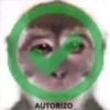 🐵•Monitos•🐵 10