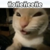 🌈🐈‍⬛✨️Gatos Funny Mood✨️🐈‍⬛🌈 25
