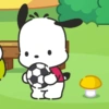 Pochacco 26
