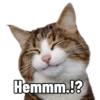 Hemmm.!?
