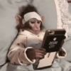 MACAQUINHO FOFO ❤️ 15