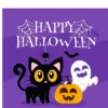 Gatos Halloween🎃 15