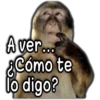 🐵Los de Septiembre/Memes🤣 14