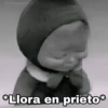 @paraguayita 01 Llora en prieto