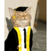 MEME WISUDA LIDI & KUCING🎓 13