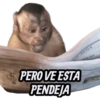 *PERO VE ESTA PENDEJA SABA ith Gap