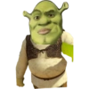 Memes Shrek 💚 12