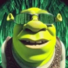 Memes Shrek 💚 11