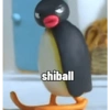 Pingu 19
