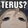 Genshin honkai meme 14