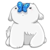 Beloni cute dog - Perro 11