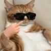 @Harley Stickers