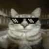Random Cat's 🐈🐈‍⬛ 17