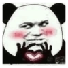 Panda douyin meme 10