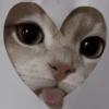 📮😝 MOODS | REACCIONES 😝📮 19