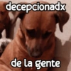 Perritos enojados 😡 🐶 11