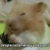 Stickers para Todo Momento 2 6