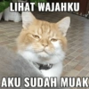 LIHAT WAJAHKU AKU SUDAH MUAK