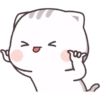 Kucing gemoy 11