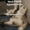 Play na semana 14