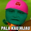 PALA KAU HIJAU
