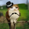 Meowl Michi cute 🥺🩷✨ 23