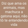 Cantadas duvidosas 😂 13