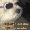 Objetivo del día: Que se acabe