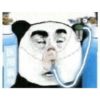Panda douyin meme 9