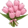 Spring emoji iPhone🌺 20