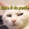 Esse fi da peste