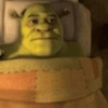 Memes do Shrek 🟢 15