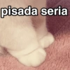 Gatos Reactions 💥🐱 12