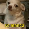 se manca