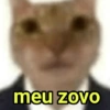 GATINHOS SHITPOST  12