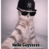Hello Guysssss...