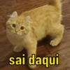 sai daqui