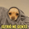 ISFRIÓ NÉ GENTE